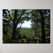 Sommerblick im Acadia Nationalpark Poster (Vorne)