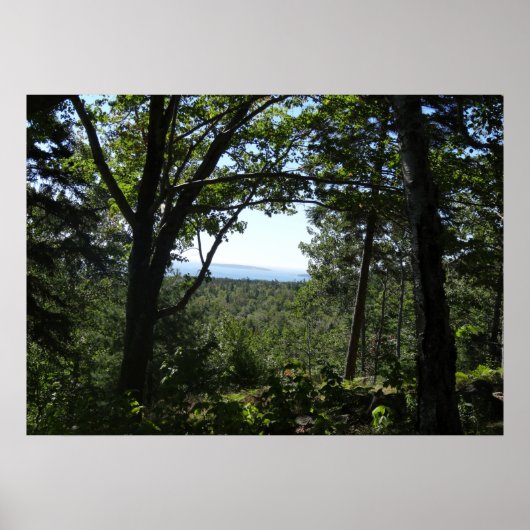 Sommerblick im Acadia Nationalpark Poster (Vorne)