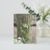 Sommerblumen Postkarte (Stehend Vorderseite)