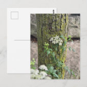 Sommerblumen Postkarte (Vorne/Hinten)