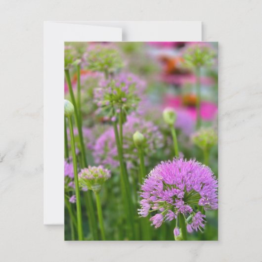 Sommerblumen RSVP Karte (Vorderseite)