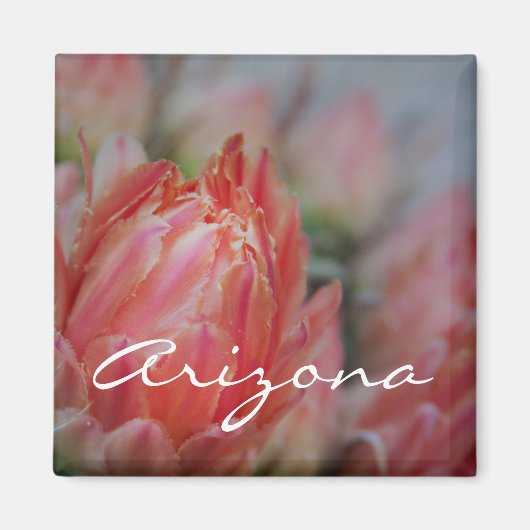 Sommerblüten aus Arizona Magnet (Vorne)