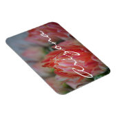 Sommerblüten aus Arizona Magnet (Rechte Seite)