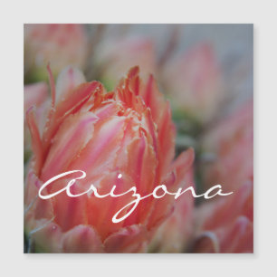 Sommerblüten aus Arizona Magnetkarte