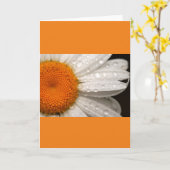 Sommerdaisy-geklappte leere Grußkarte Karte (Gelbe Blume)