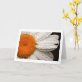 Sommerdaisy-geklappte leere Grußkarte Karte (Gelbe Blume)