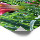 Sommererholungsgärten in der Taglilie Poster (Ecke)