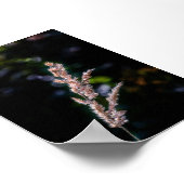 Sommerfantasie Poster (Ecke)