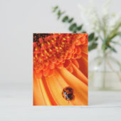 Sommerfarbe Postkarte (Stehend Vorderseite)