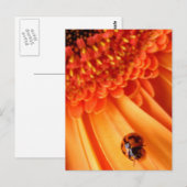 Sommerfarbe Postkarte (Vorne/Hinten)