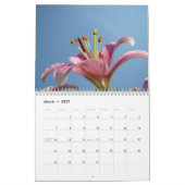 Sommerfarben Blumengarten Kalender Fotos (Mär 2027)