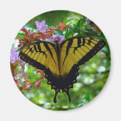 Sommerfarben Magnet (Vorne)