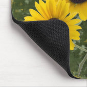 Sommerfarben mit dreifach-Sonnenblumenfotografie Mousepad (Ecke)