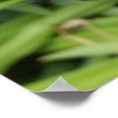 Sommerfarben Poster (Ecke)