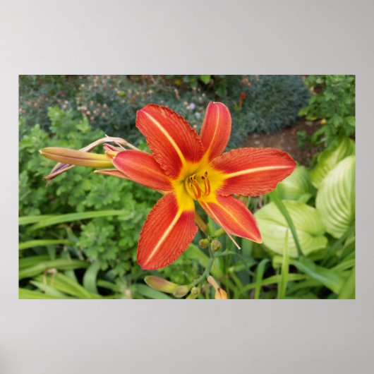 Sommerfarben Poster (Vorne)