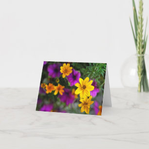 Sommerfarbenleere Mitteilungskarten