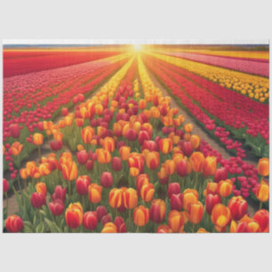 Sommerfeld der Tulips Dekoupage Seidenpapier