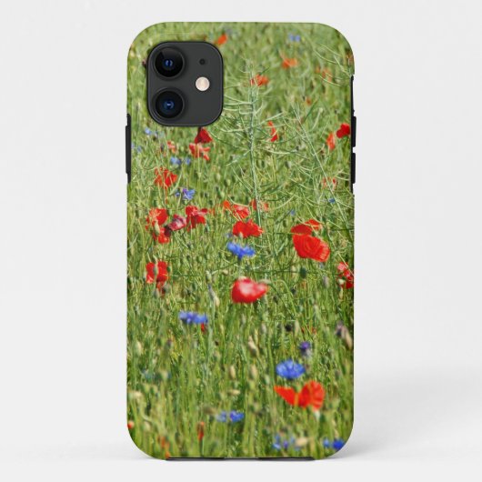 Sommerfeld mit roten und blauen Blumen Case-Mate iPhone Hülle (Rückseite)