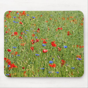 Sommerfeld mit roten und blauen Blumen Mousepad
