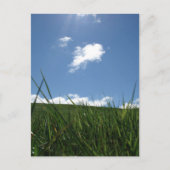 Sommerfeld Postkarte (Vorderseite)