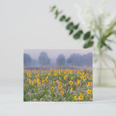 Sommerfelder Postkarte (Stehend Vorderseite)