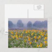 Sommerfelder Postkarte (Vorne/Hinten)