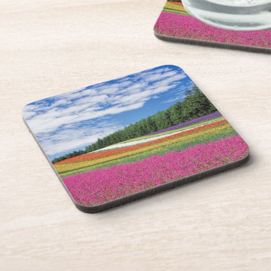 Sommerfeldröhren von Blume Getränkeuntersetzer (Linke Seite)