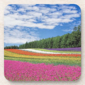 Sommerfeldröhren von Blume Getränkeuntersetzer (Vorderseite)