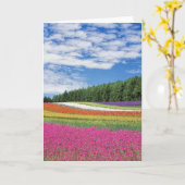 Sommerfeldröhren von Blume Karte (Gelbe Blume)