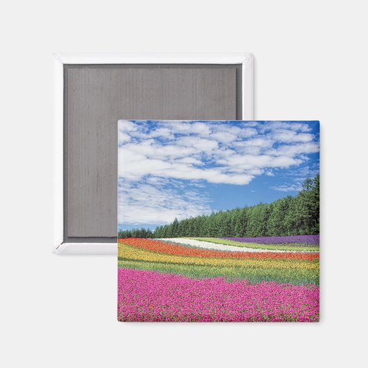 Sommerfeldröhren von Blume Magnet (Vorderseite/Rückseite)