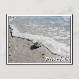Sommerferien in Florida am Strand Postkarte