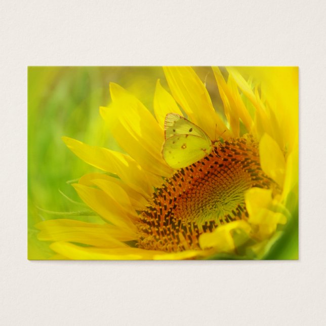 Sommerflügel, Visitenkarte (Vorderseite)