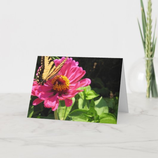 Sommerfrische 2 karte (Vorderseite)