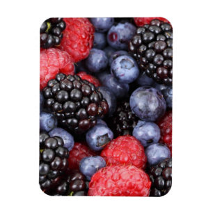 Sommerfrucht Beeren Magnet