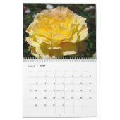 SOMMERGARDENS Kalender Sonnenlichte Blume Geschenk (Mär 2027)