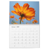 SOMMERGARDENS Kalender Sonnenlichte Blume Geschenk (Jan 2027)