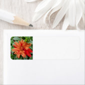 Sommergarten (Insitu)