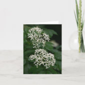 Sommergarten-Blume Dankeskarte (Vorderseite)