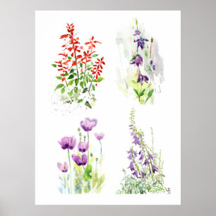 Sommergarten-Blumen Vier Aquarellstudien Poster