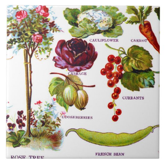 Sommergarten Botanik Fliese (Vorderseite)