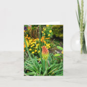 Sommergarten Karte (Vorderseite)