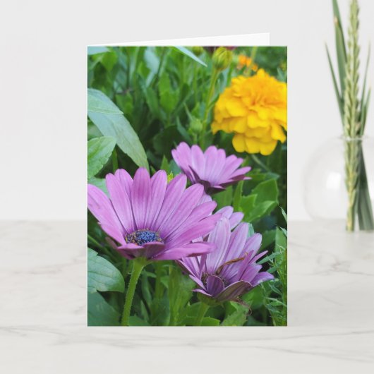 Sommergarten Karte (Vorderseite)