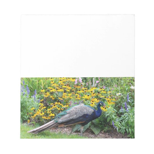 Sommergarten mit Peacock Notizblock (Vorderseite)