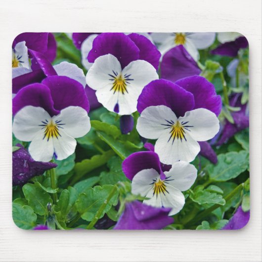 Sommergarten Mousepad (Vorne)