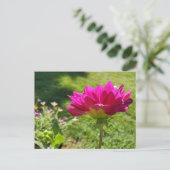 Sommergarten Postkarte (Stehend Vorderseite)