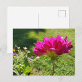 Sommergarten Postkarte (Vorne/Hinten)