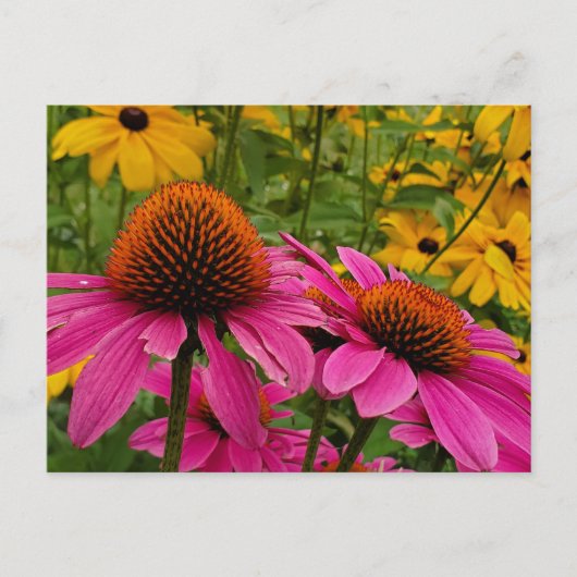 Sommergarten Postkarte (Vorderseite)
