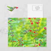 Sommergarten Postkarte (Vorne/Hinten)