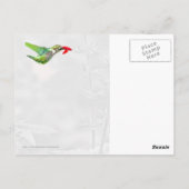 Sommergarten Postkarte (Rückseite)