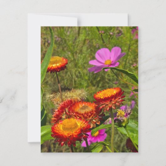 Sommergarten RSVP Karte (Vorderseite)